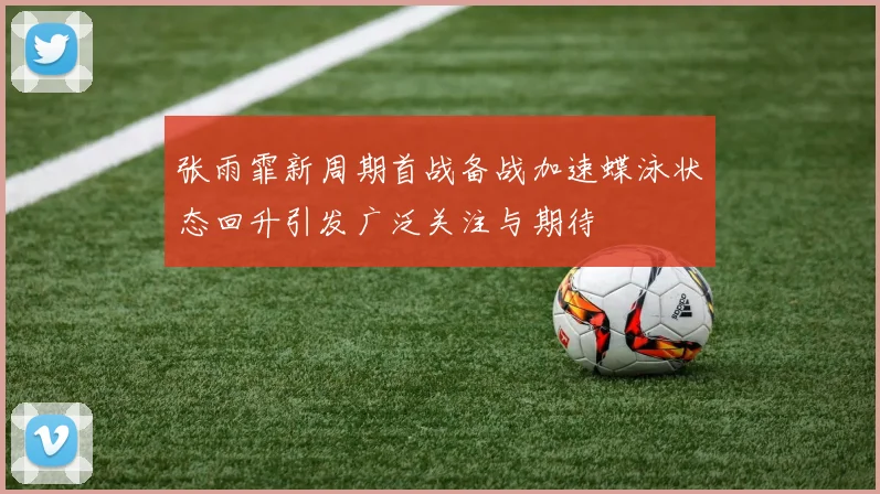 张雨霏新周期首战备战加速蝶泳状态回升引发广泛关注与期待